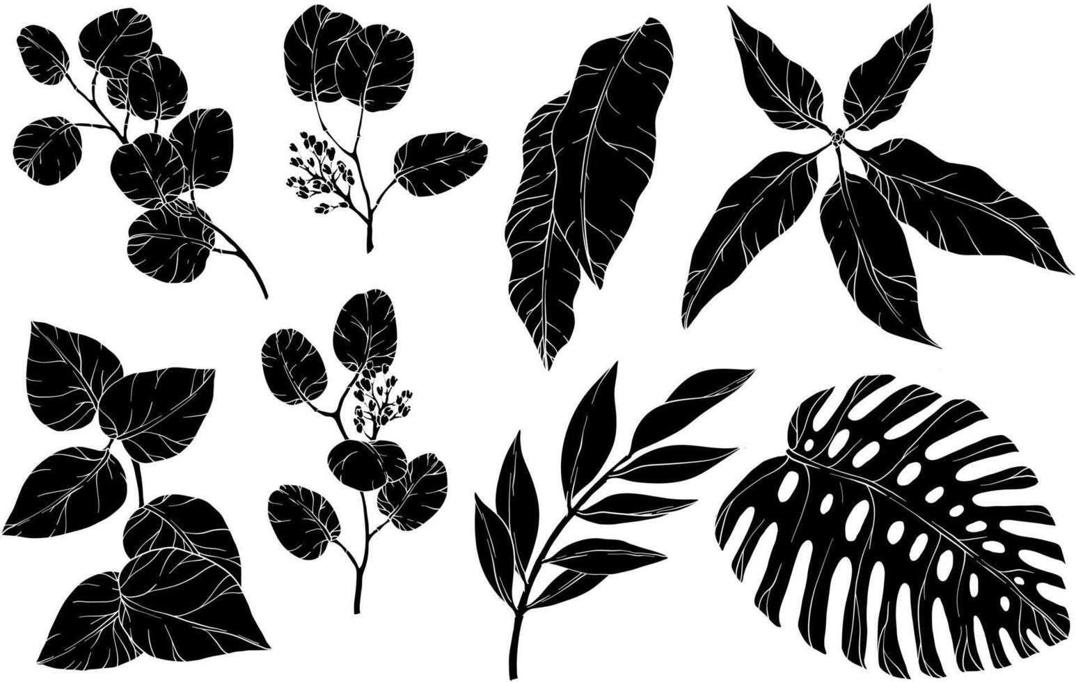 Set with Silhouettes of leaves. Foliage, monstera, eucalyptus. Floral set vector