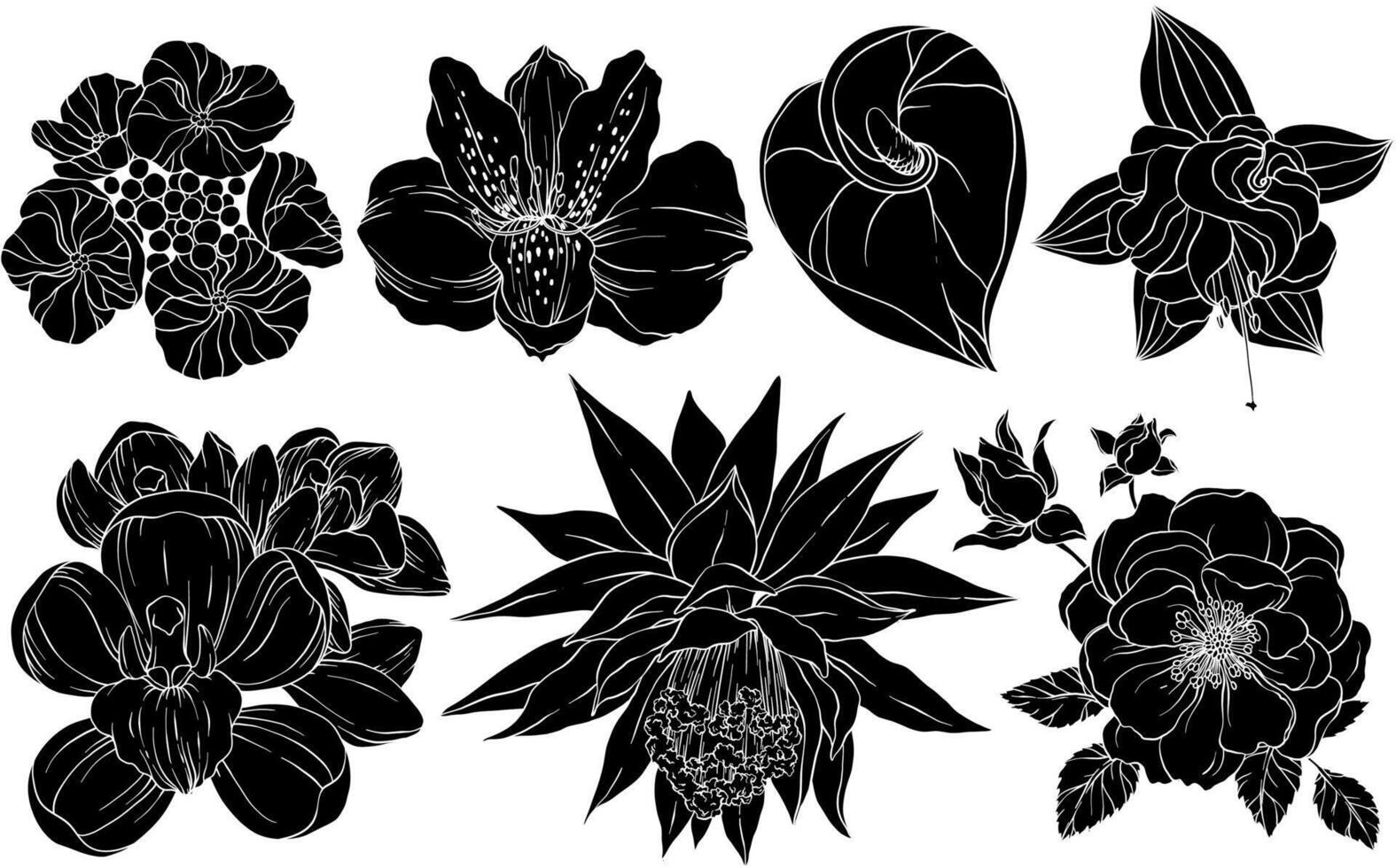 Collection of silhouettes of summer flowers vector