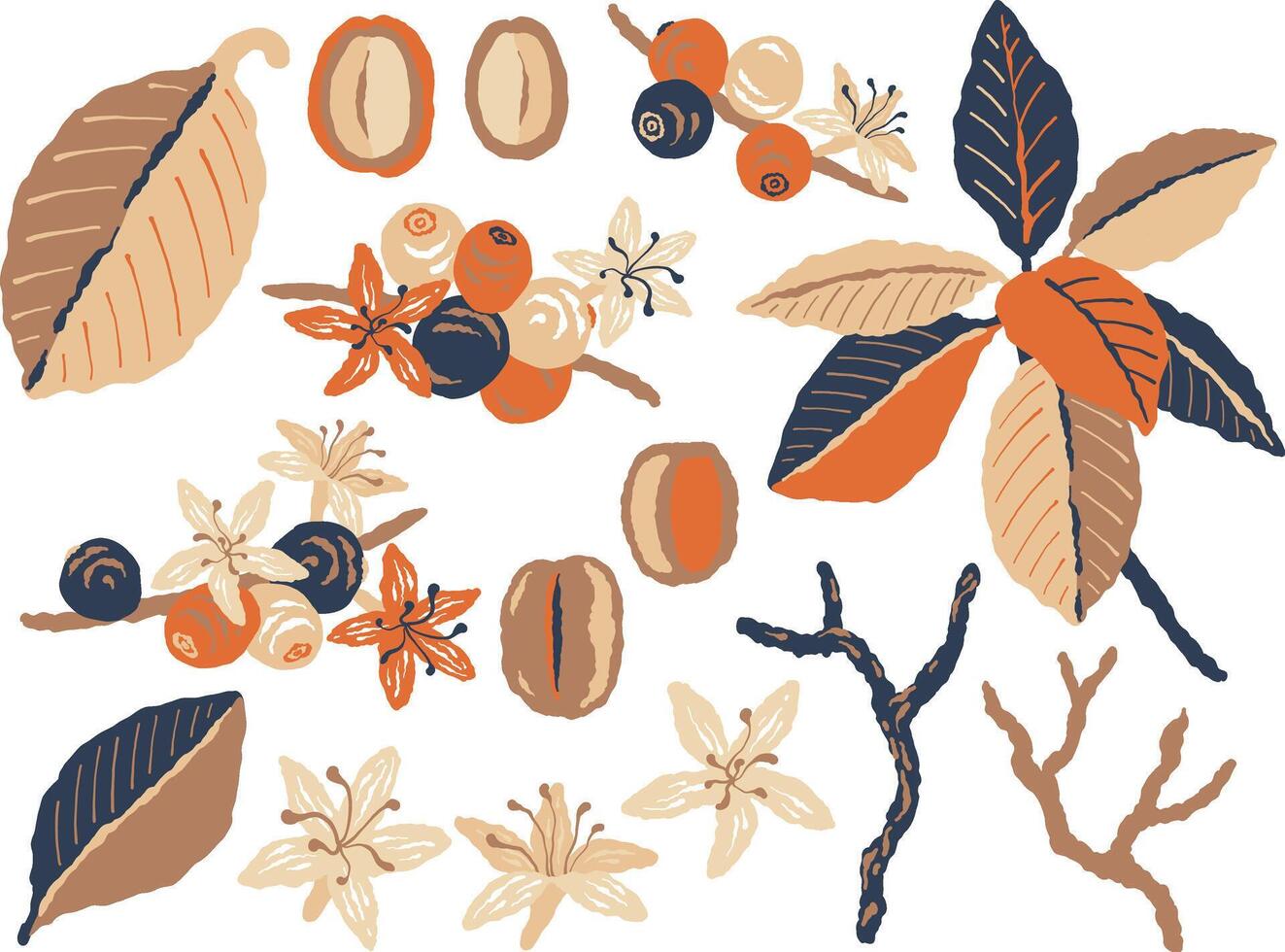 Branches of coffee Plant with Ripe Edible Fruits and flowers. Set of abstract plant elements vector