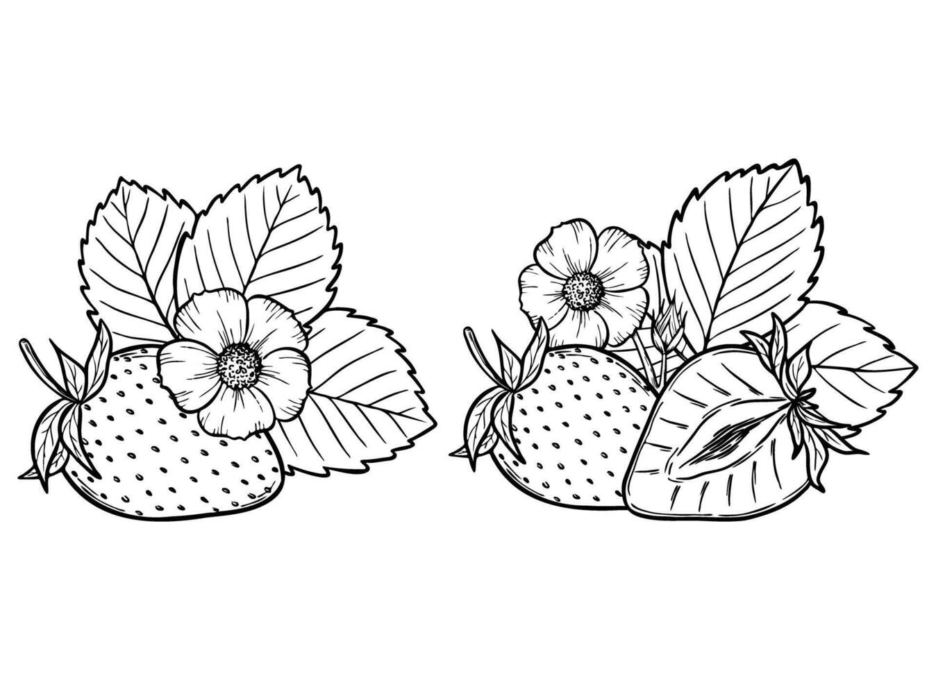 strawberry line art illustration set with berries, leaves and flowers, hand drawn botanical outline drawing, monochrome sketch. Design elements for coloring book, background, pattern, packaging vector