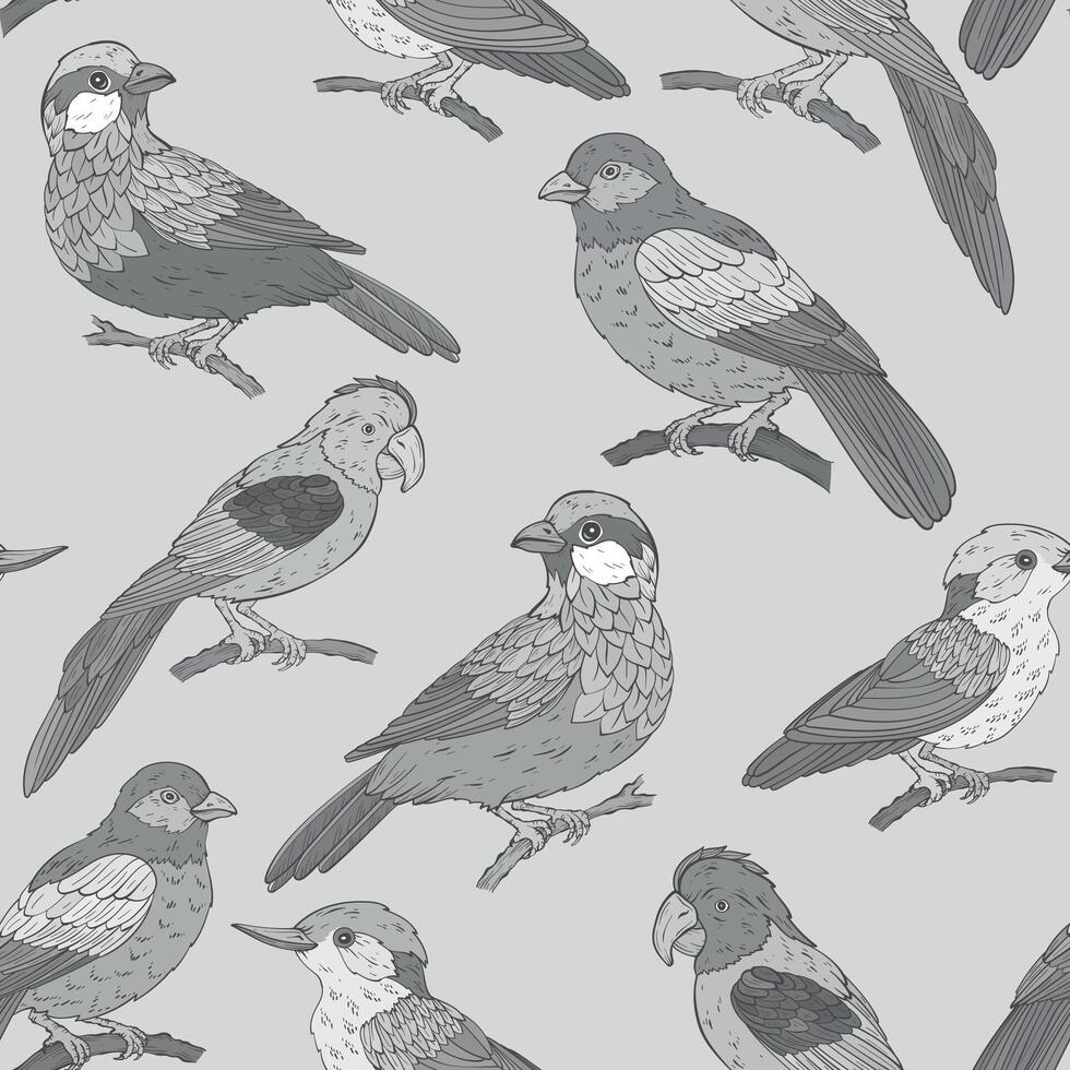Seamless monochrome pattern with various birds types vector