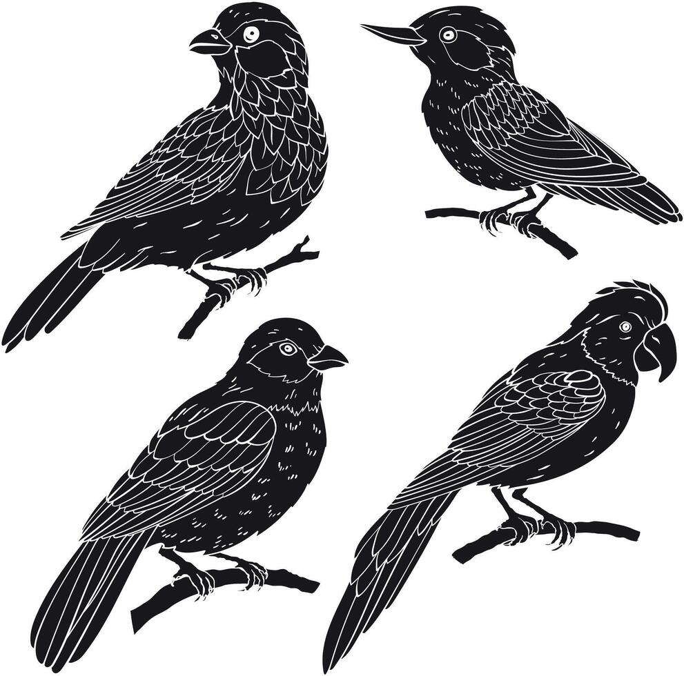 Set of silhouettes of various birds types vector