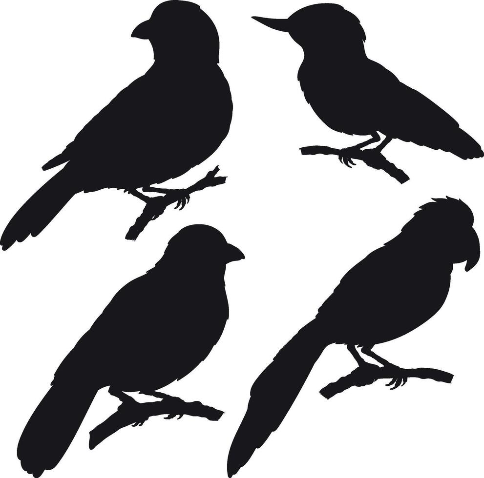 Set of silhouettes of various birds types vector
