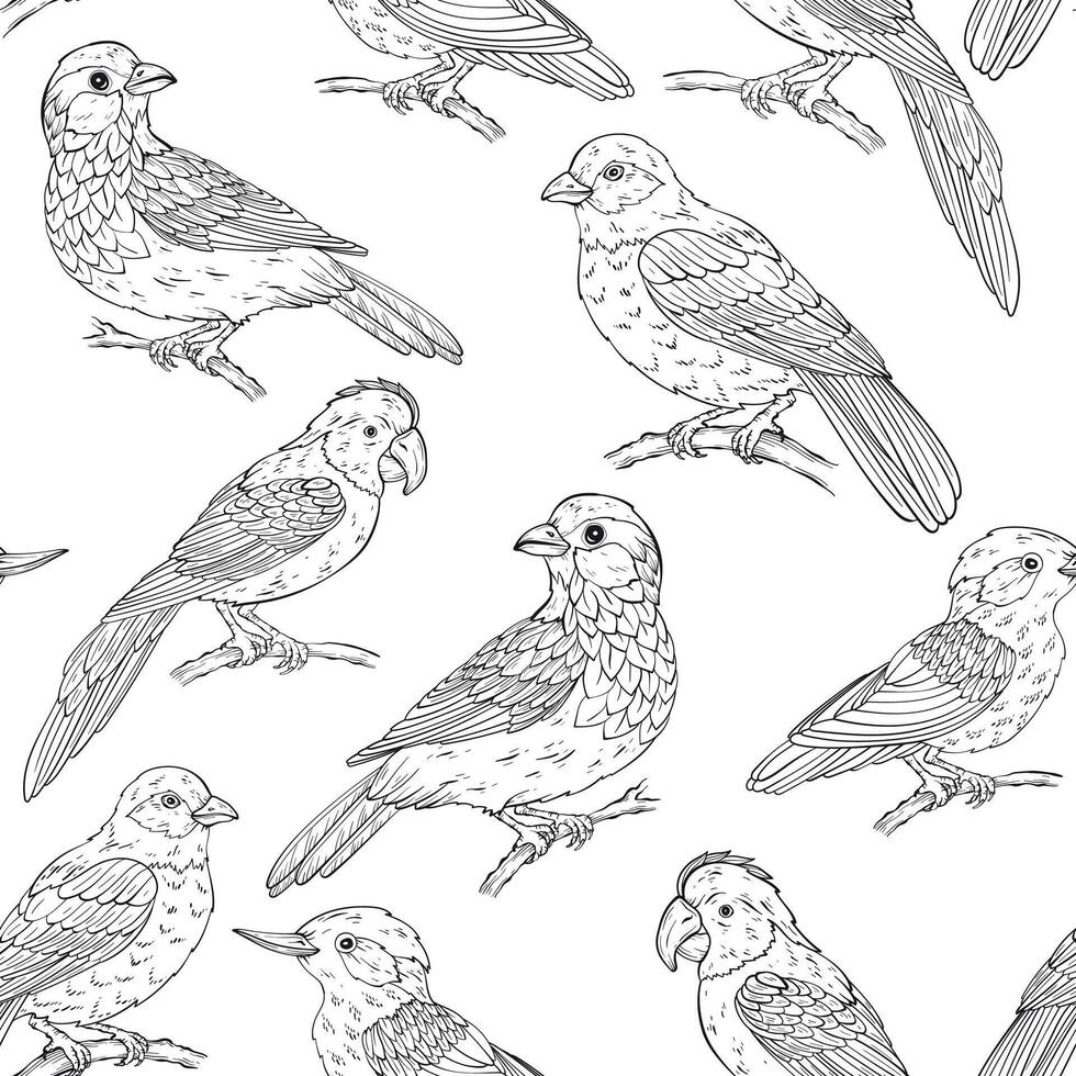 Seamless pattern with various birds types vector