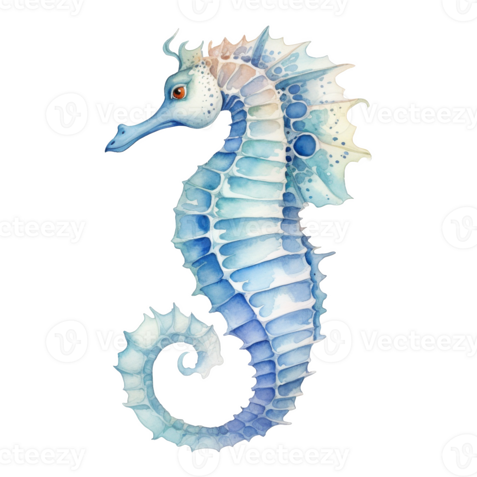 Sea Horse, Summer Illustration. Watercolor Style. png