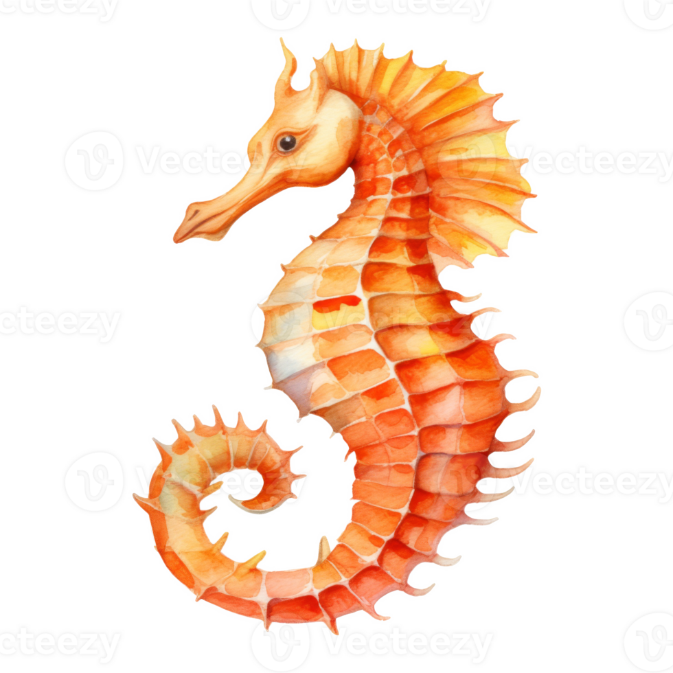 Sea Horse, Summer Illustration. Watercolor Style. png
