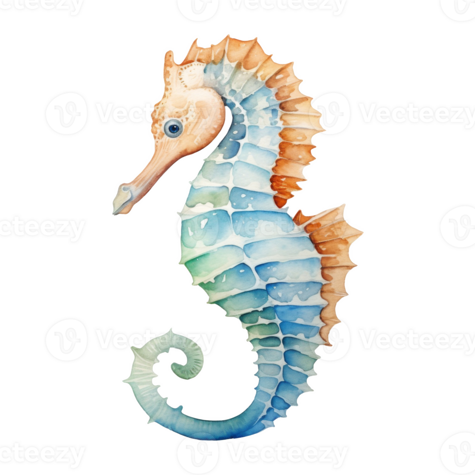 Sea Horse, Summer Illustration. Watercolor Style. png