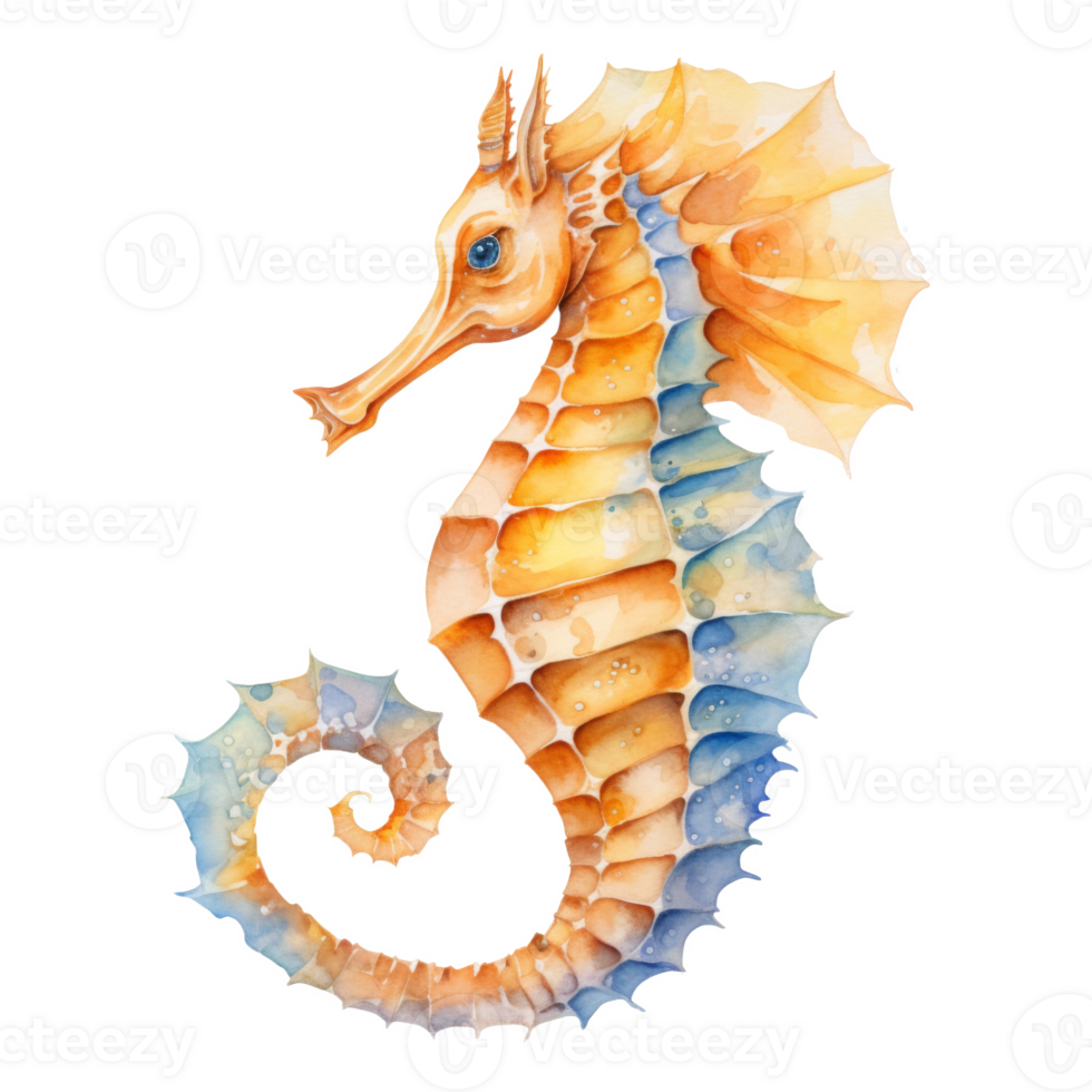 Sea Horse, Summer Illustration. Watercolor Style. png