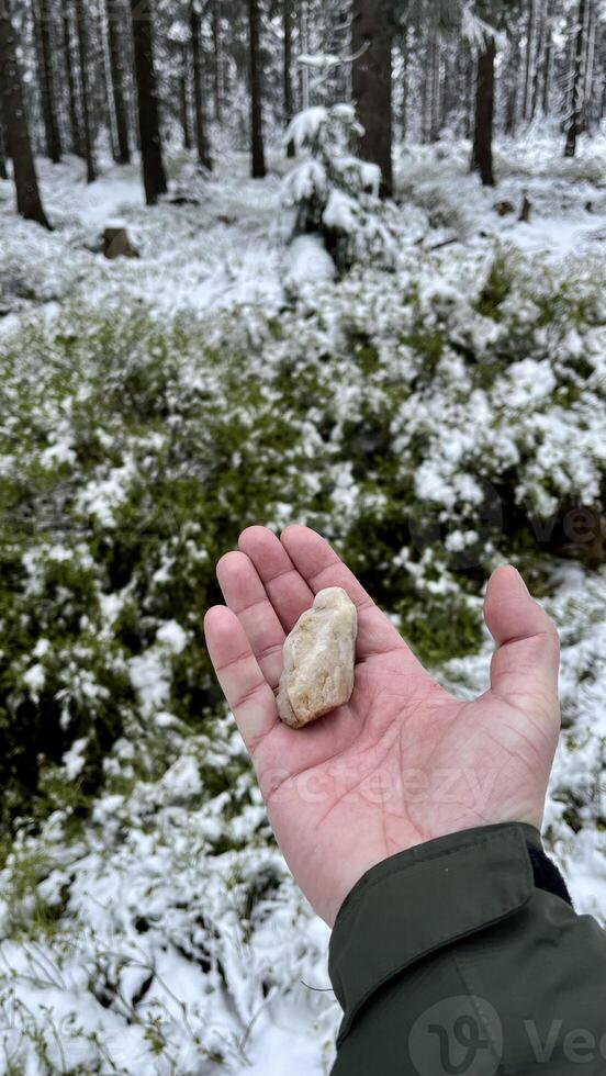Quartzite in the hands of a tourist in a winter forest in Poland photo