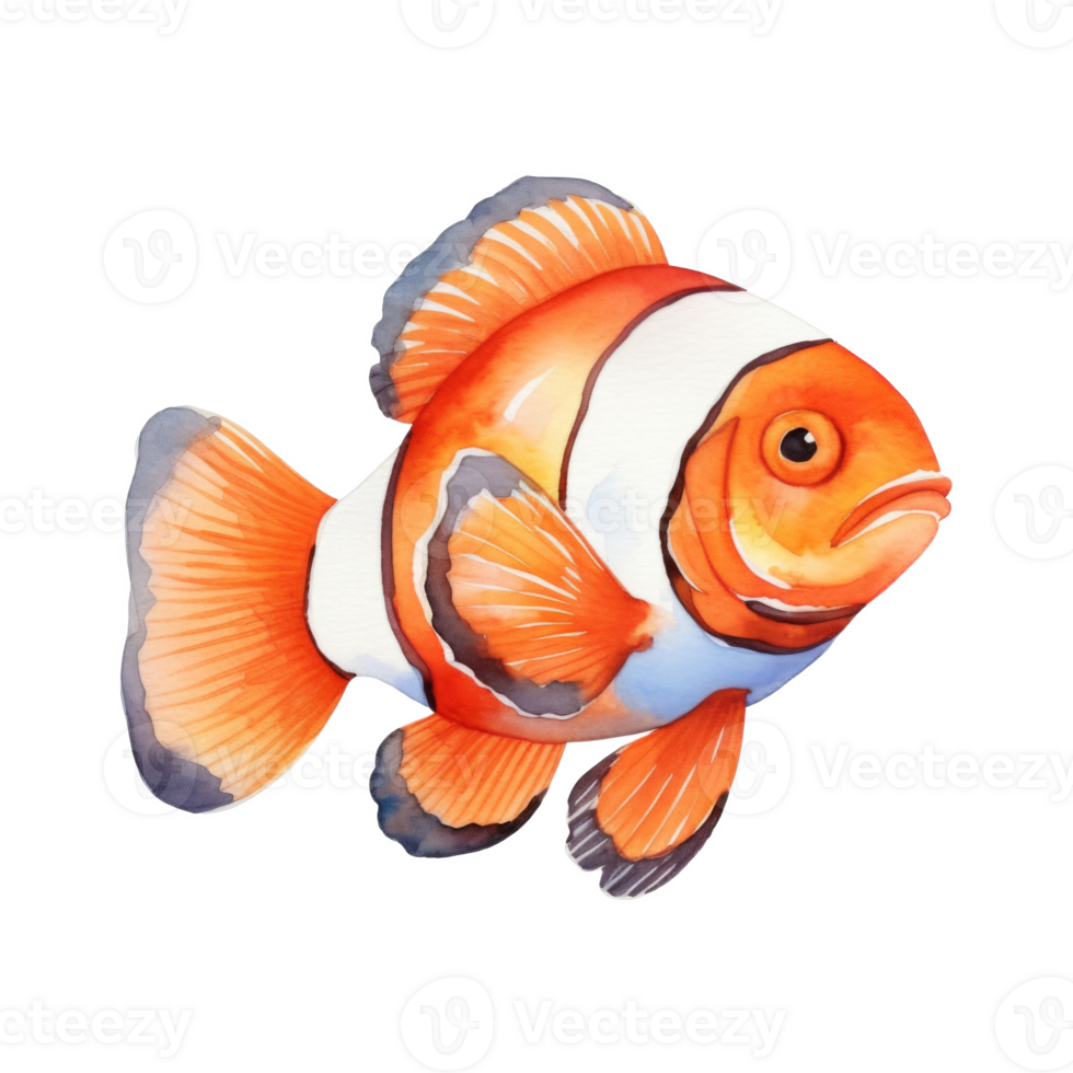 Clownfish, Summer Illustration. Watercolor Style png