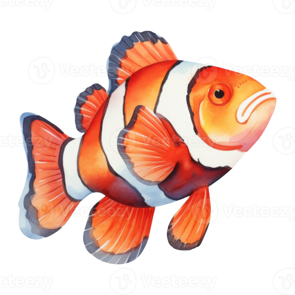 Clownfish, Summer Illustration. Watercolor Style png