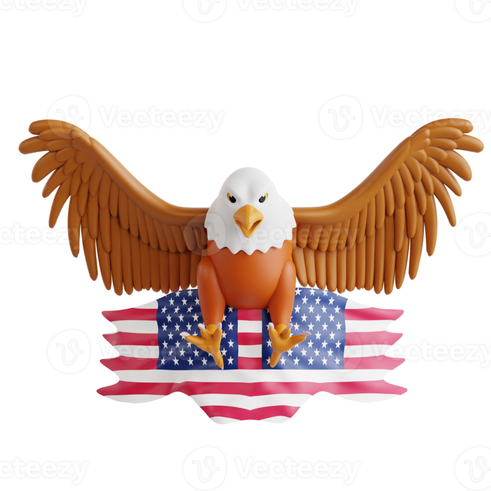 Independence Day America 3D Icon png