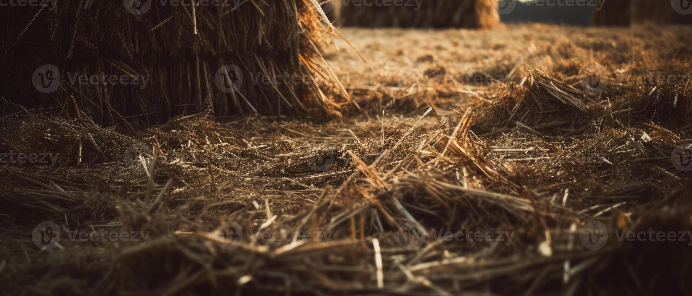 Agricultural landscape with breathtaking scenery and farm activities. . photo