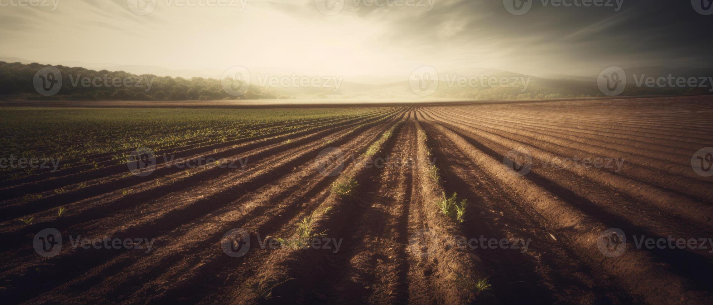 Agricultural landscape with breathtaking scenery and farm activities. . photo