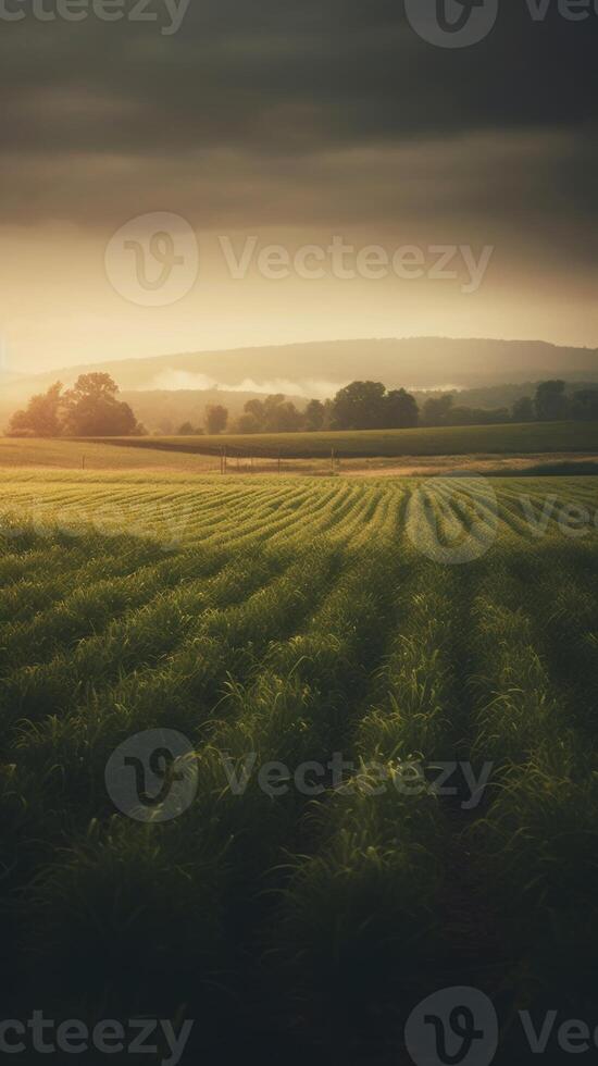 Agricultural landscape with breathtaking scenery and farm activities. . photo