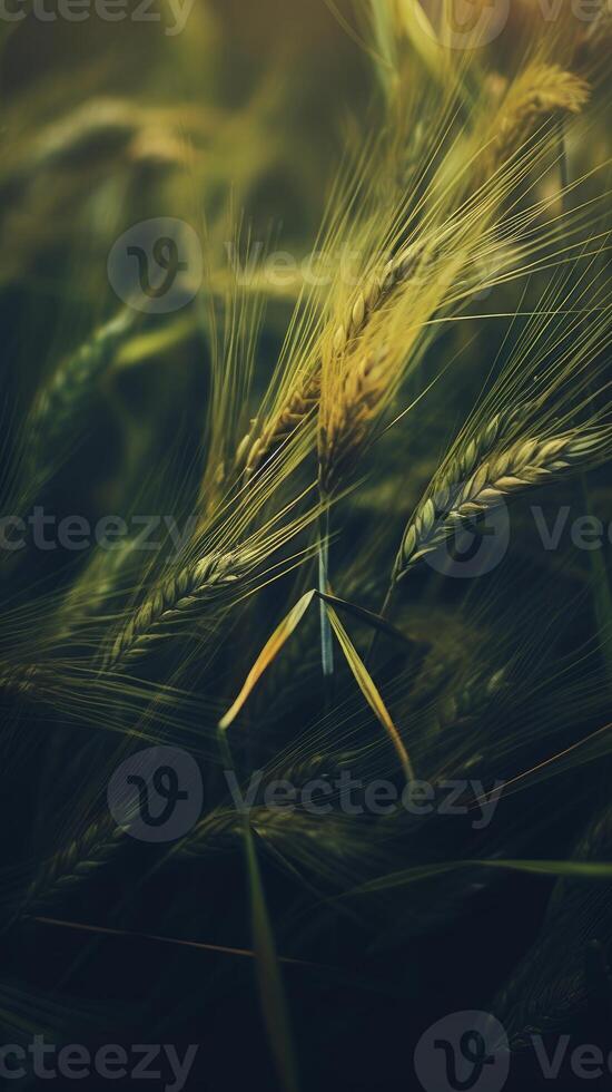 Agricultural landscape with breathtaking scenery and farm activities. . photo
