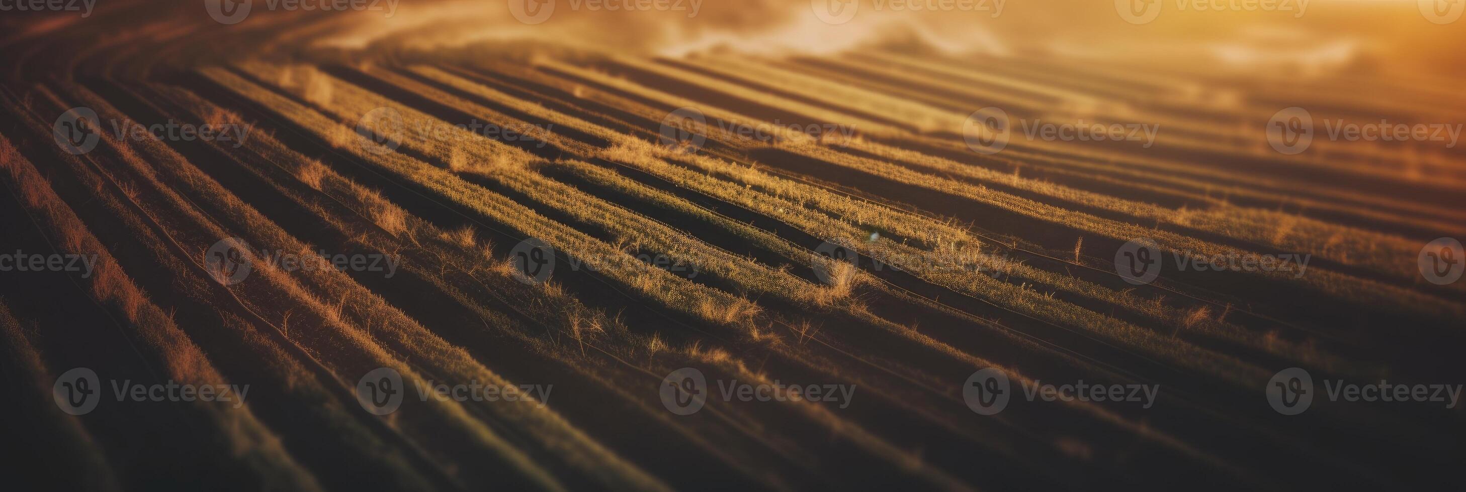 Agricultural landscape with breathtaking scenery and farm activities. . photo