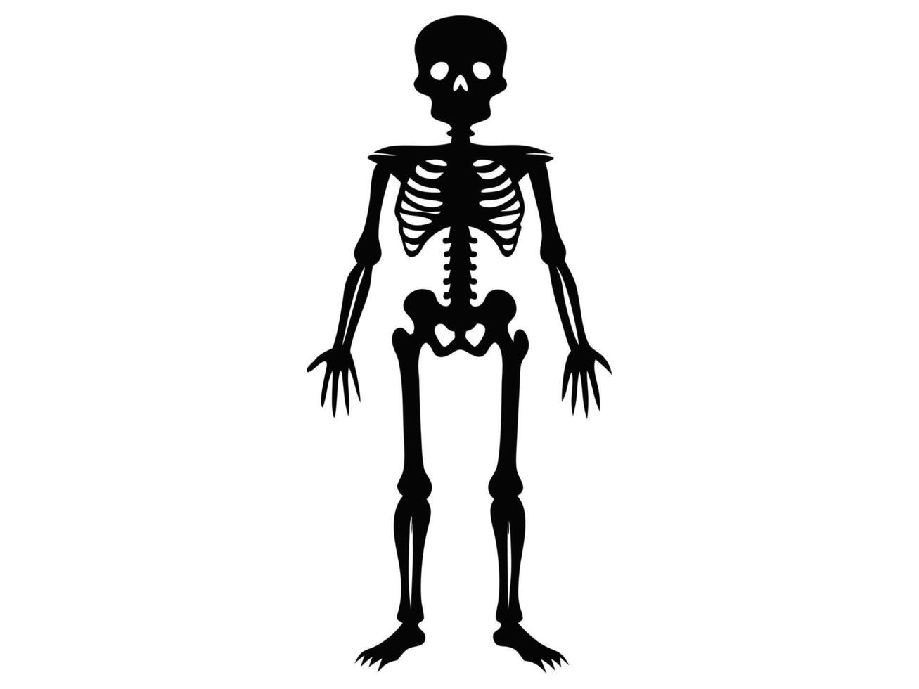 Black silhouette of a human skeleton isolated on a white background. Concept of Halloween, anatomy illustration, bone structure, spooky illustration. Print, icon, design element. vector