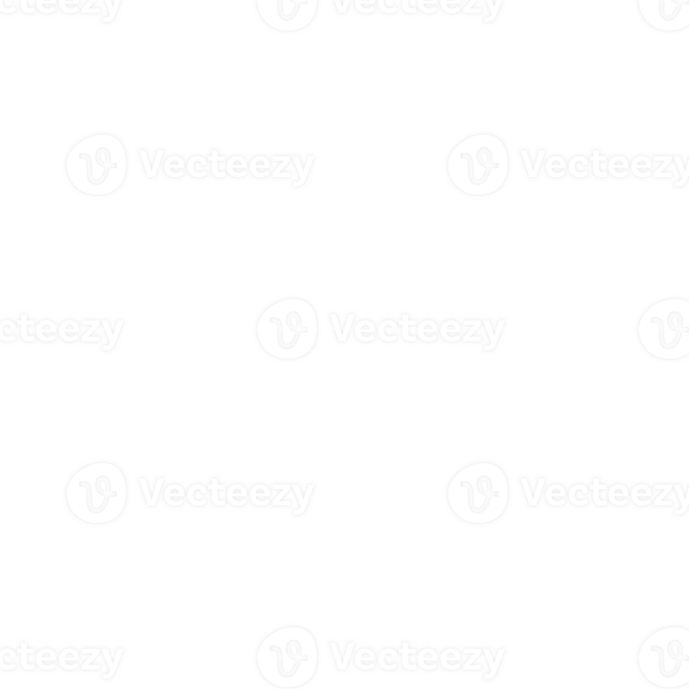 traditional flower pattern png
