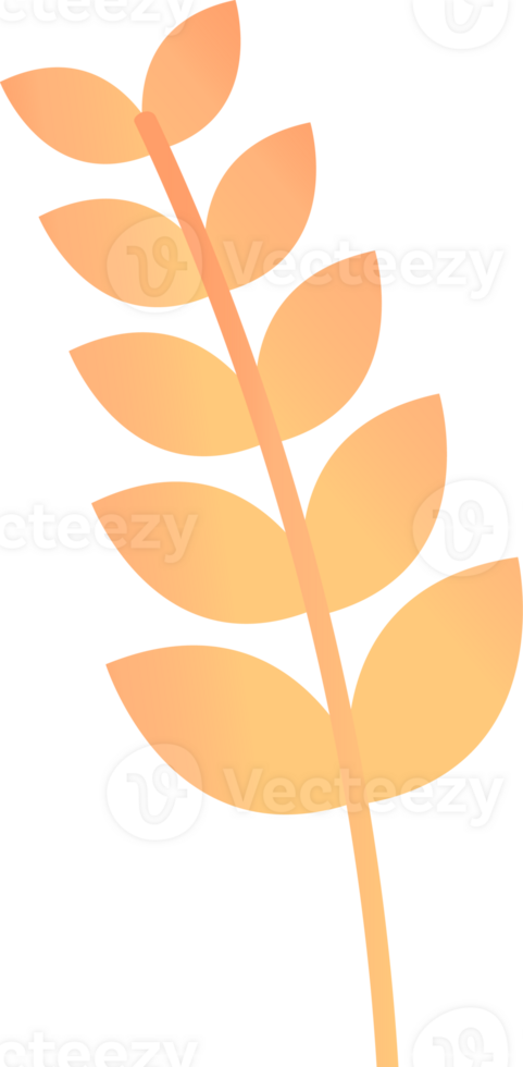 ear of rice png