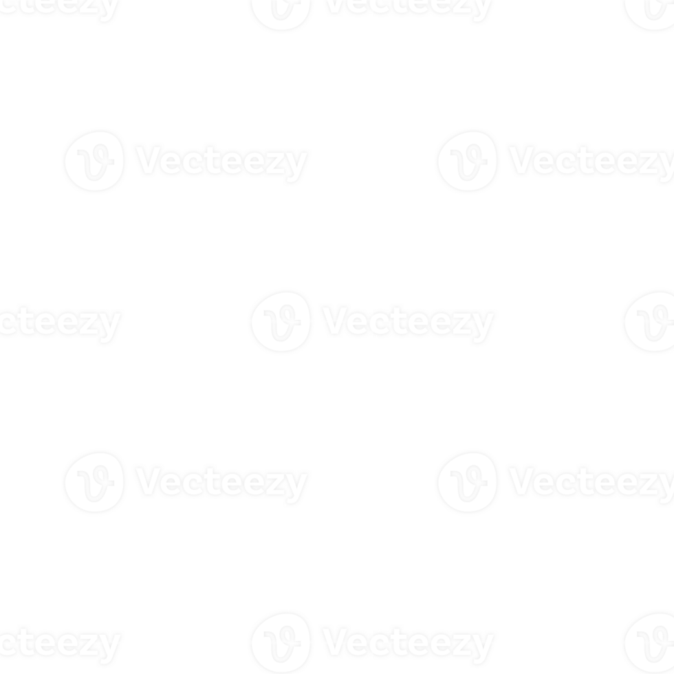 traditional flower pattern png