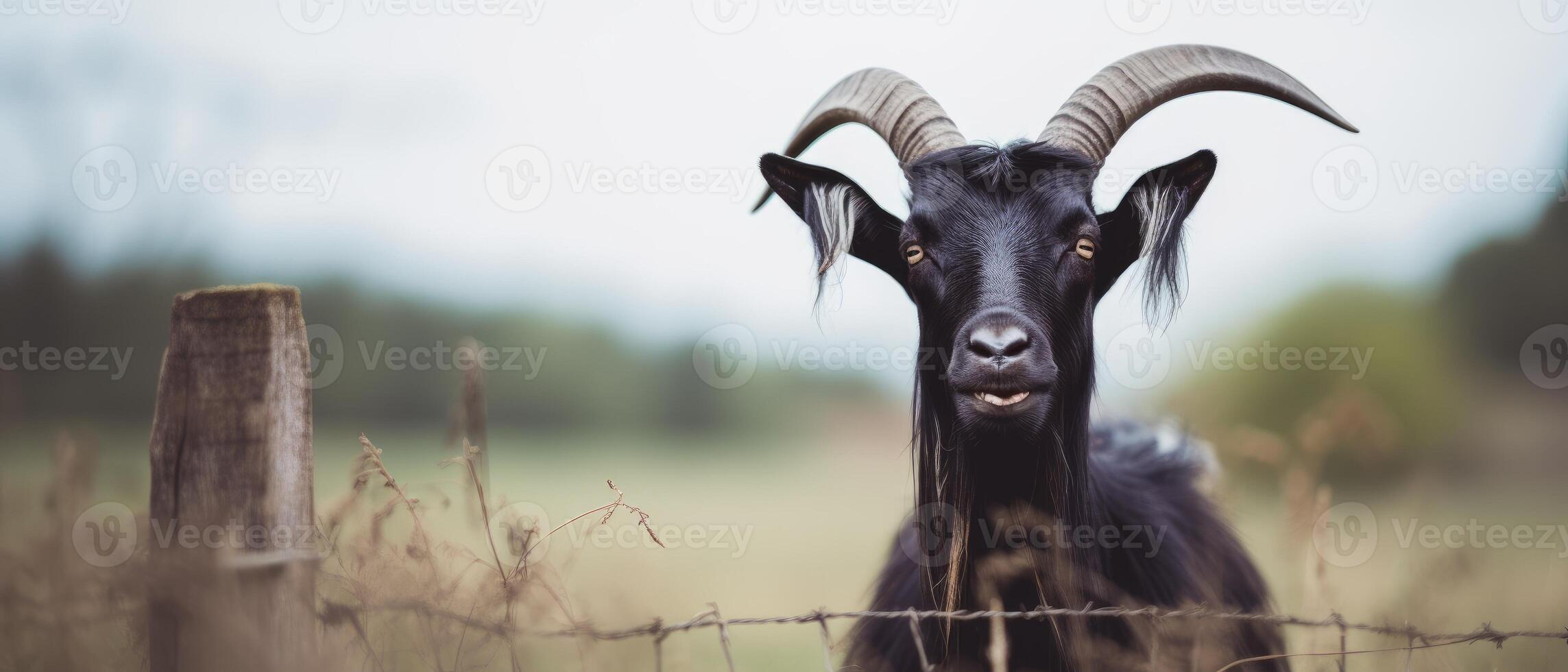 Gothic goat. . photo
