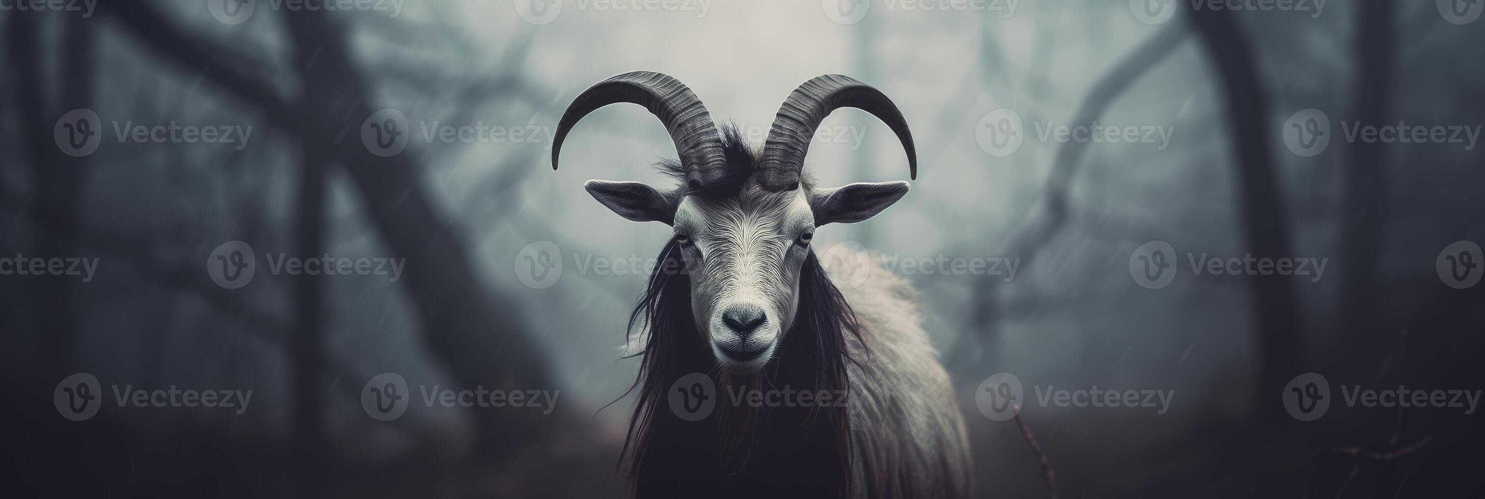 Gothic goat. . photo
