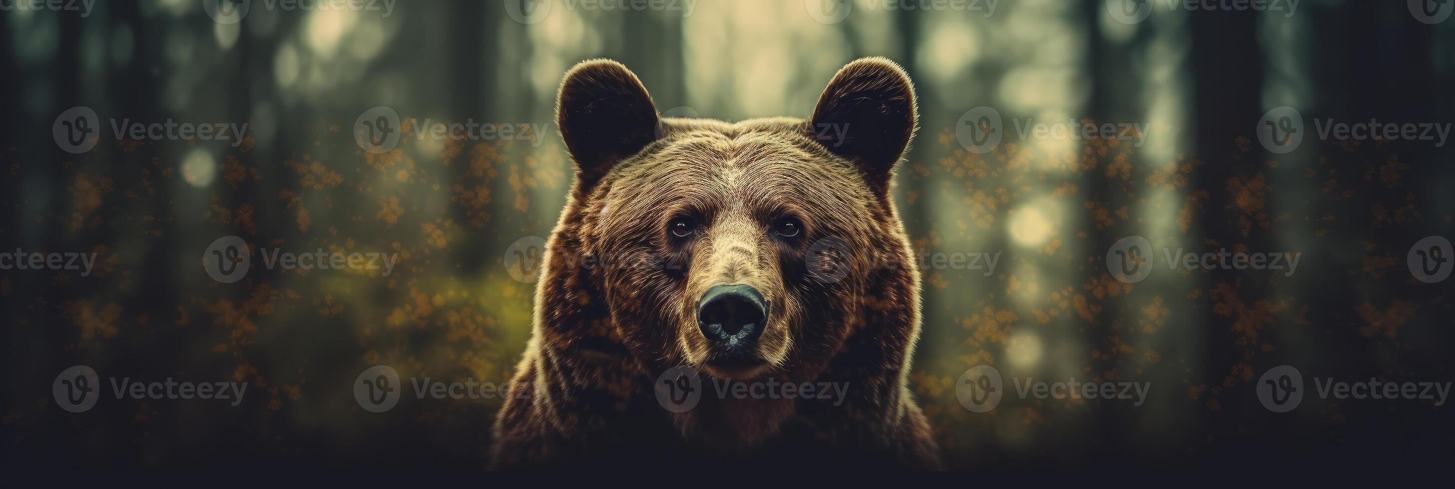 Portrait of a majestic face of a bear on the background of a forest. . photo