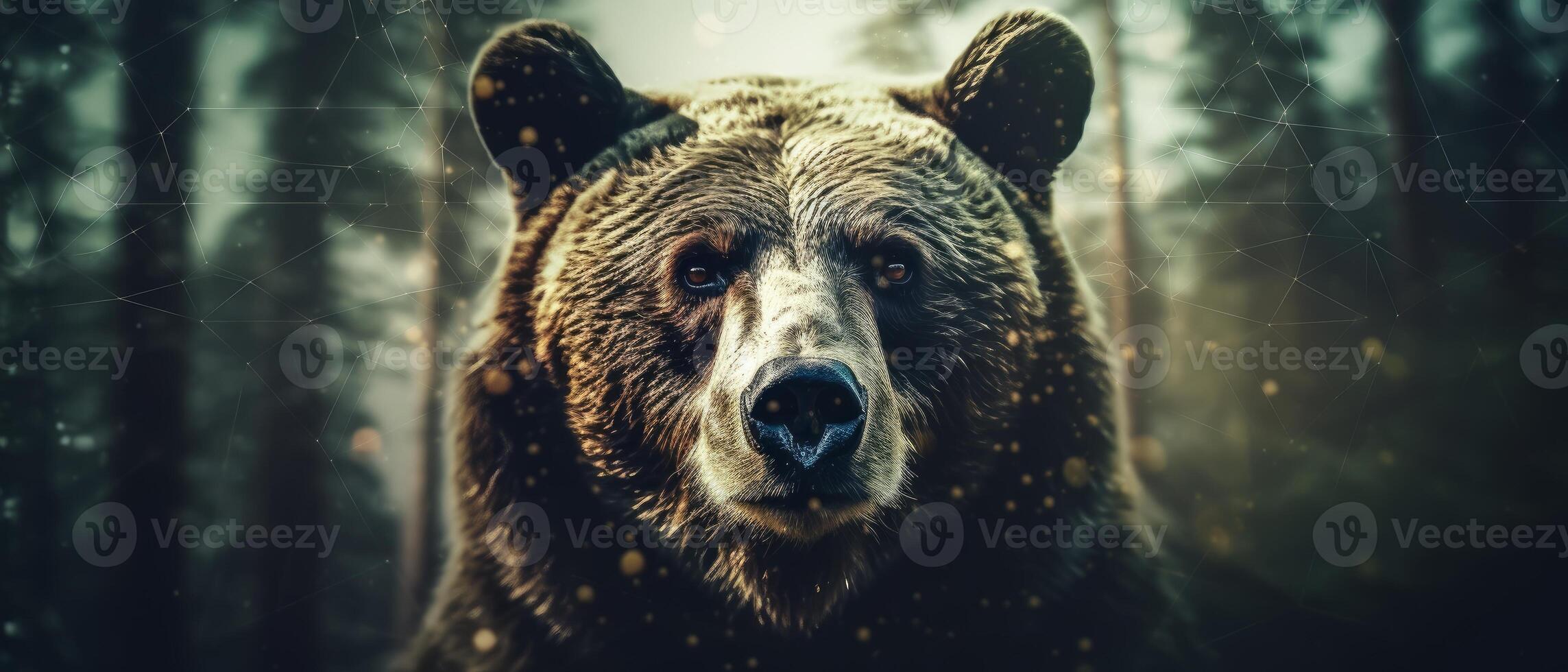 Portrait of a majestic face of a bear on the background of a forest. . photo