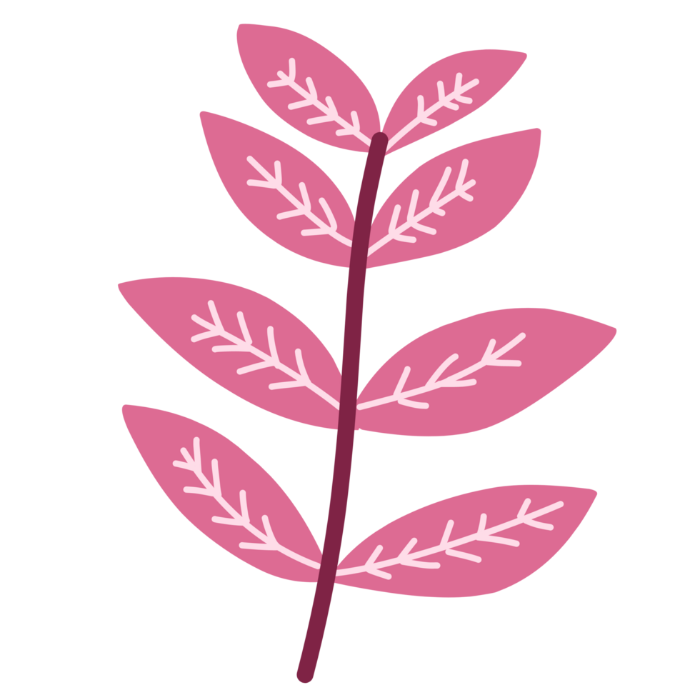 Botanical branch leaf png