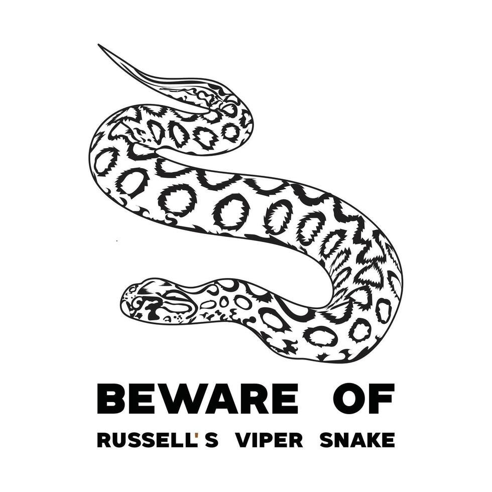 Russell's Viper snake illustration design black and white vector