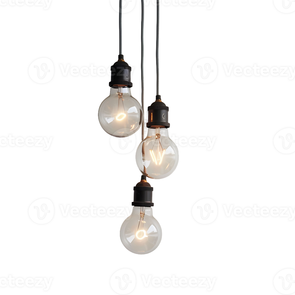 light bulbs hanging from a black cord png