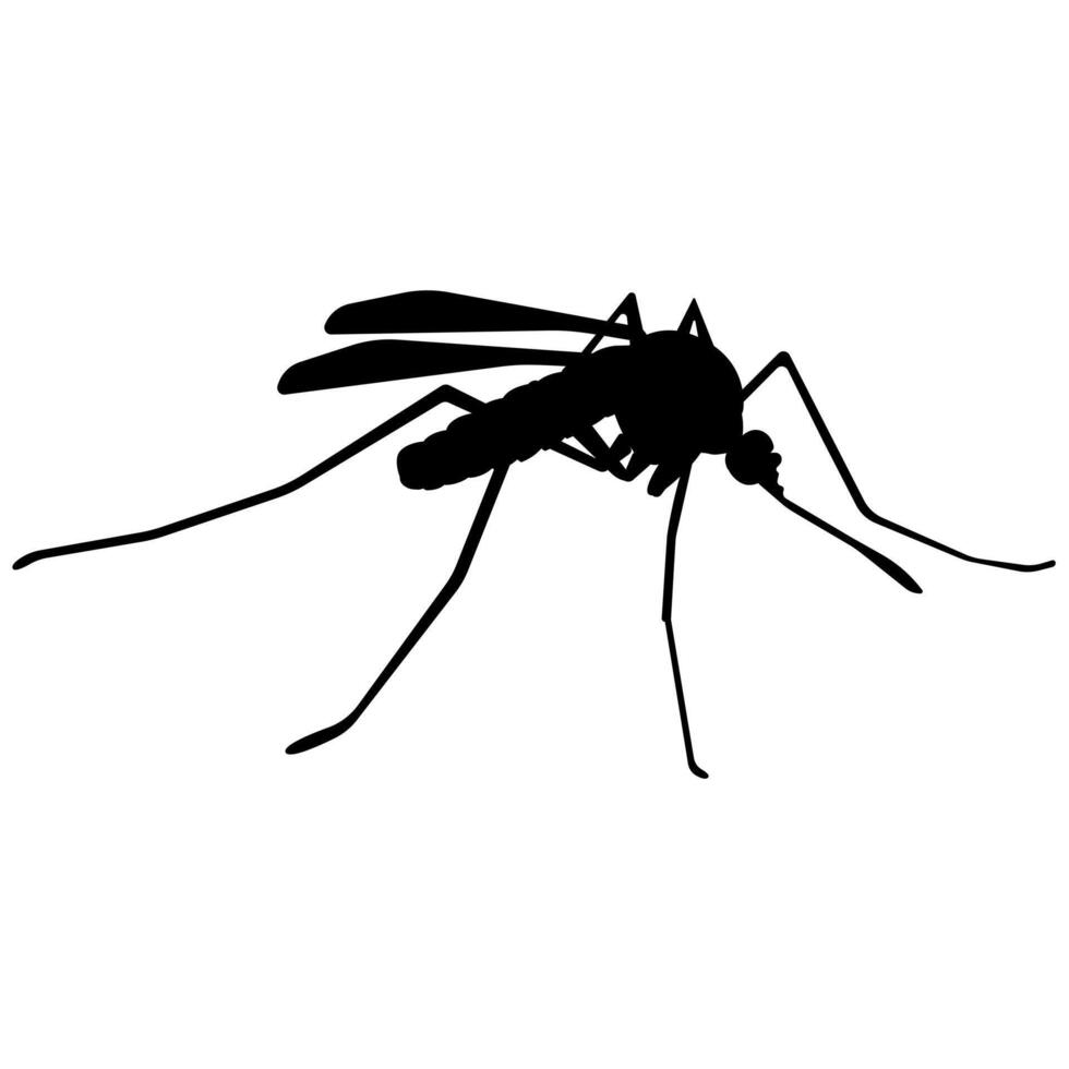 Silhouette of a mosquito, image of a winged insect that carries disease vector
