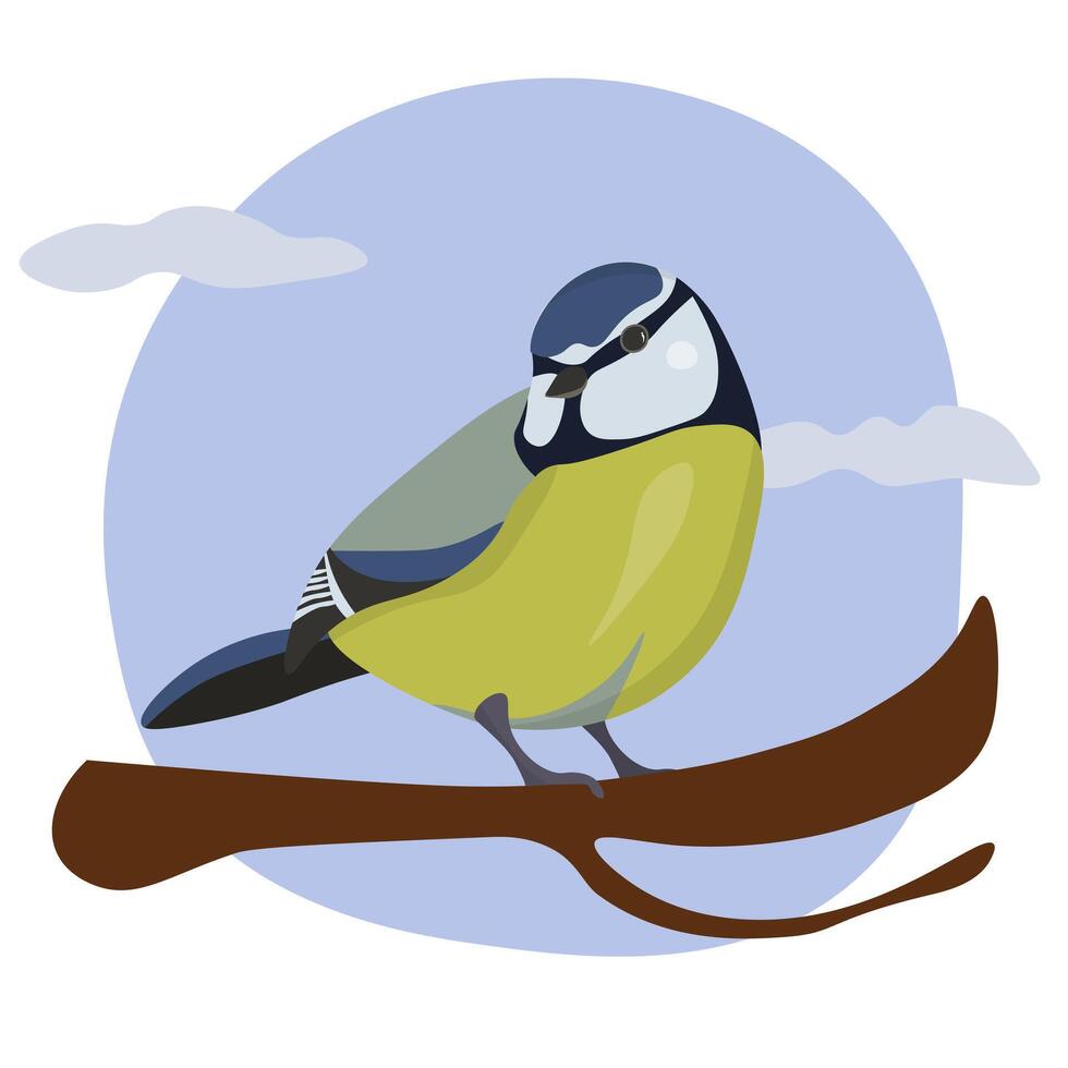 Tit on a branch, cute bird in flat style vector