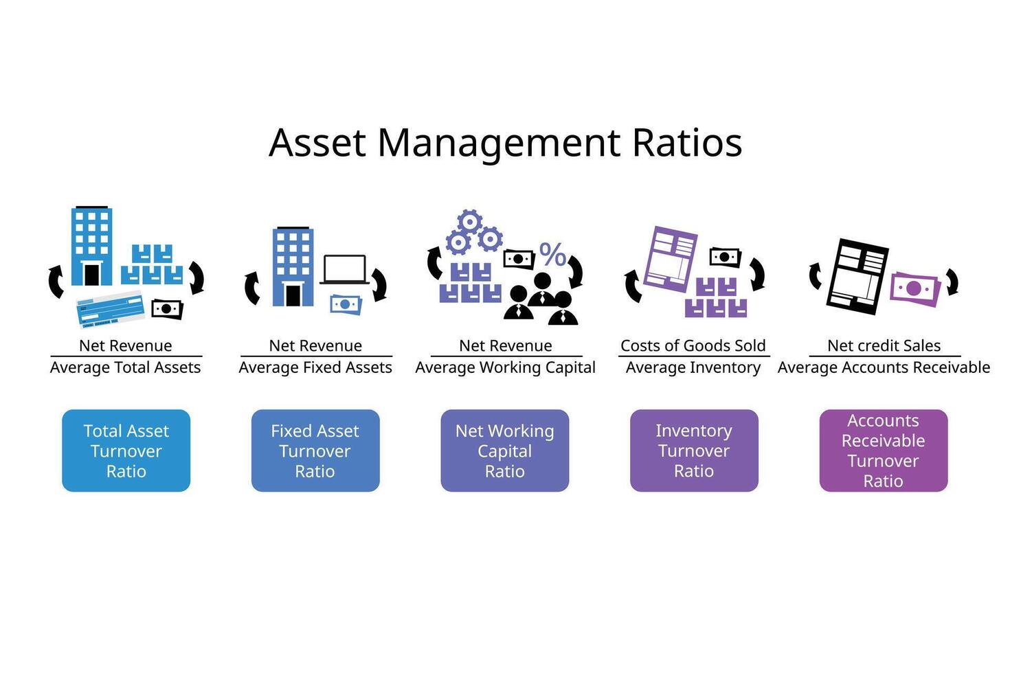 Asset management ratios or asset turnover ratios or asset efficiency ratios vector
