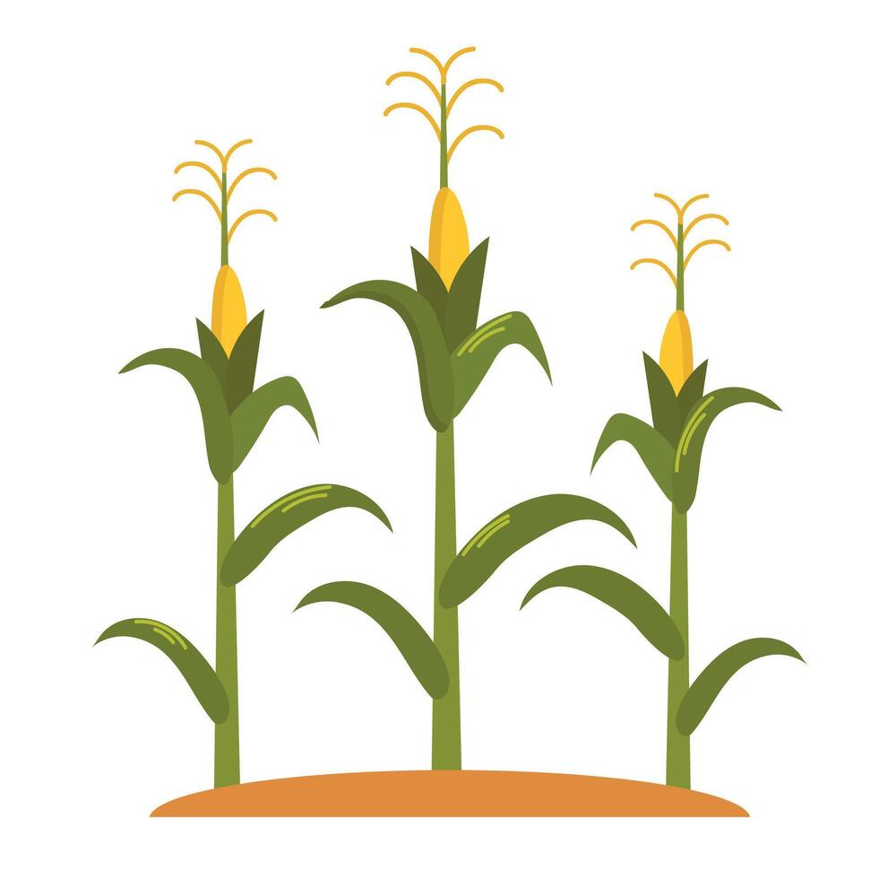 Corn field icon clipart avatar logtotype isolated illustration vector