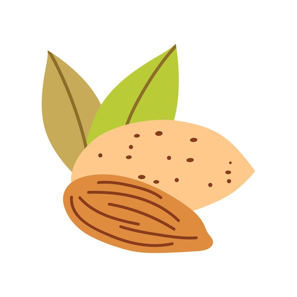 Almonds icon clipart avatar logtotype isolated illustration vector