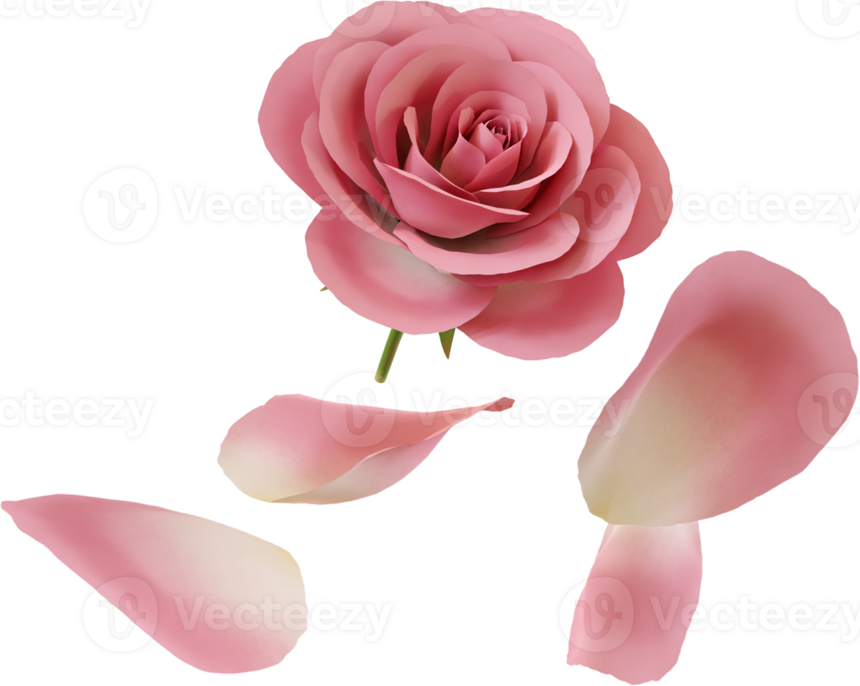 floating pink rose flower png