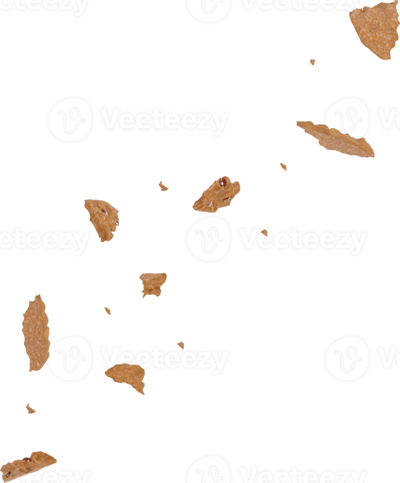 cookies with chocolate chips png