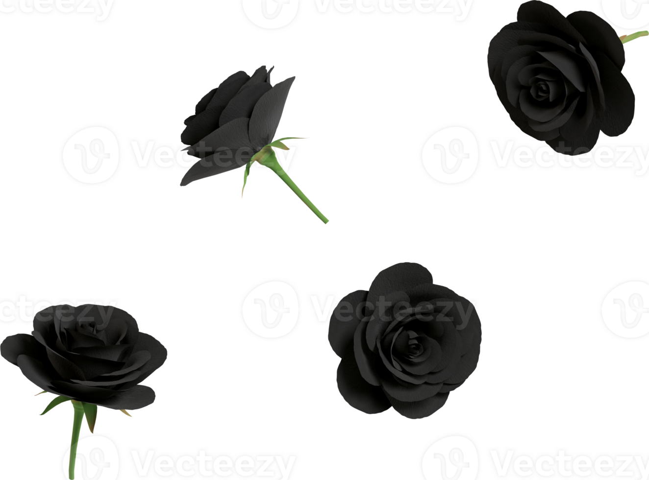 falling black rose png