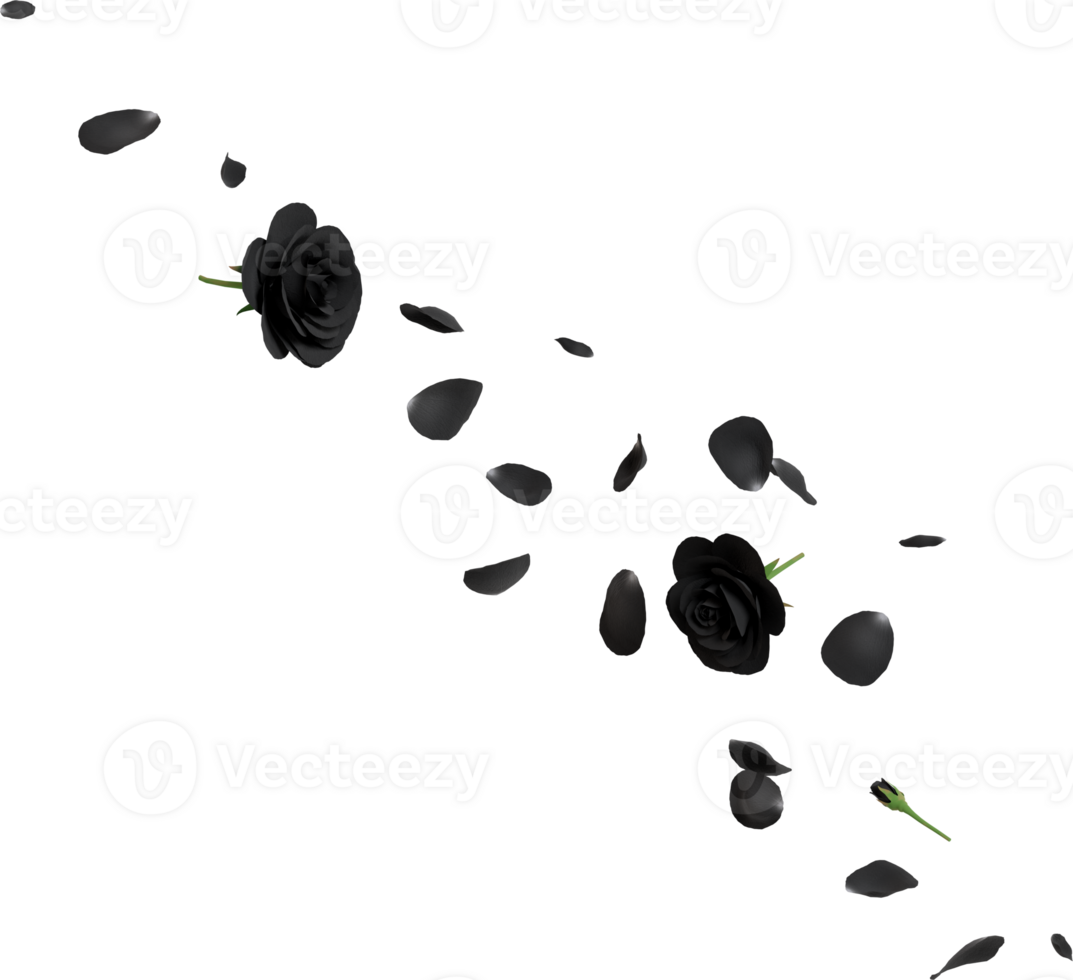 black rose petals png