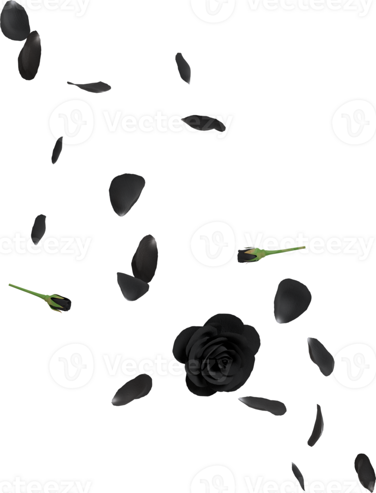 falling black rose png