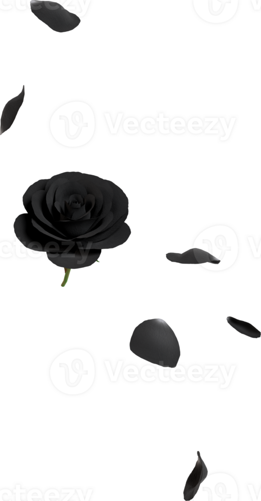 falling black rose petals png