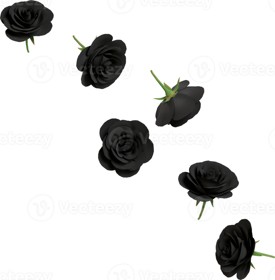 dark symbol of black rose flower png