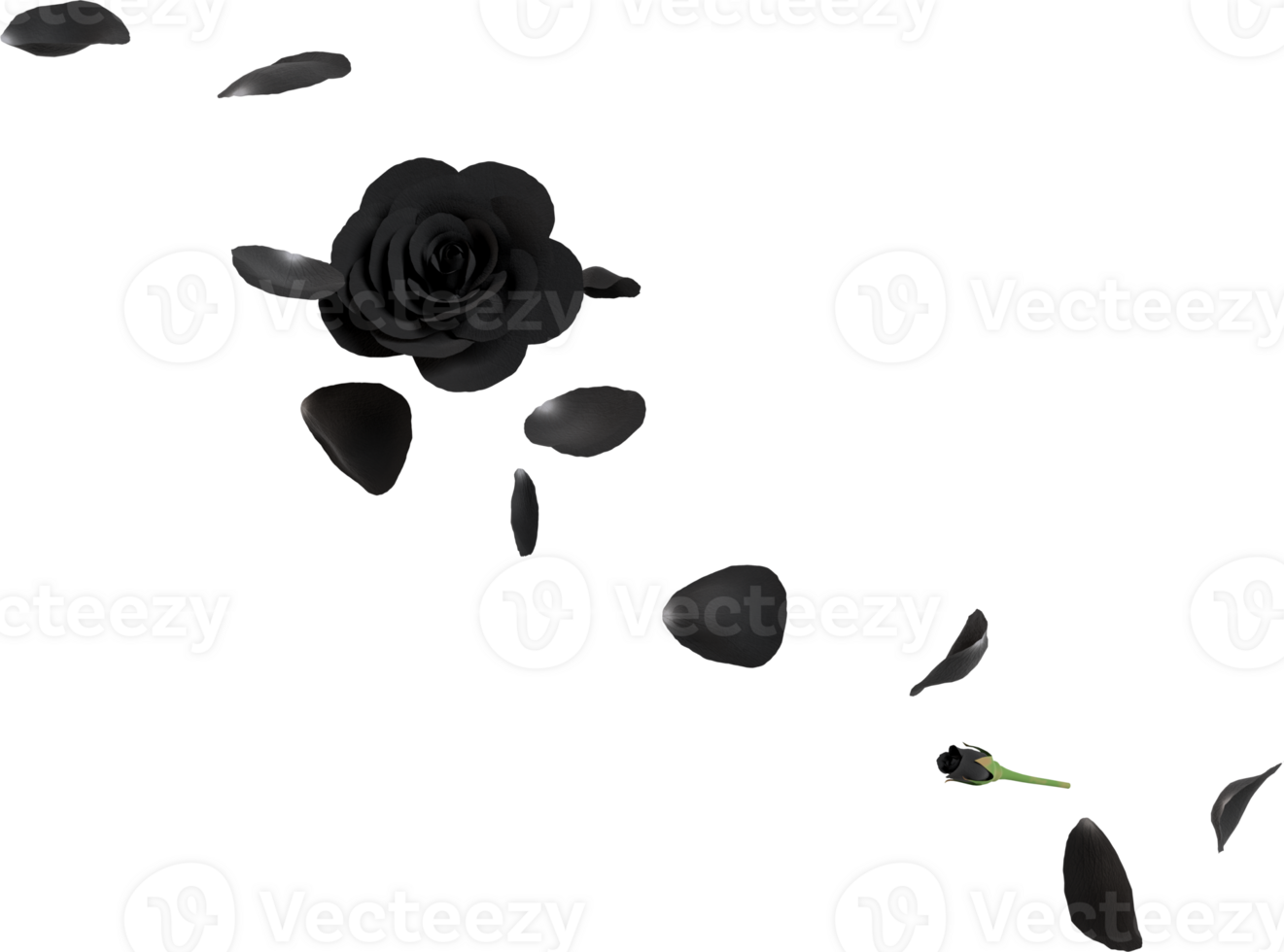 black rose petals png