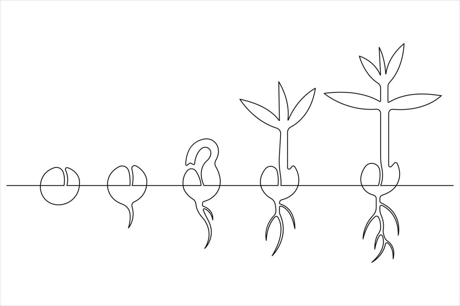 One continuous line drawing Plant growth process vector