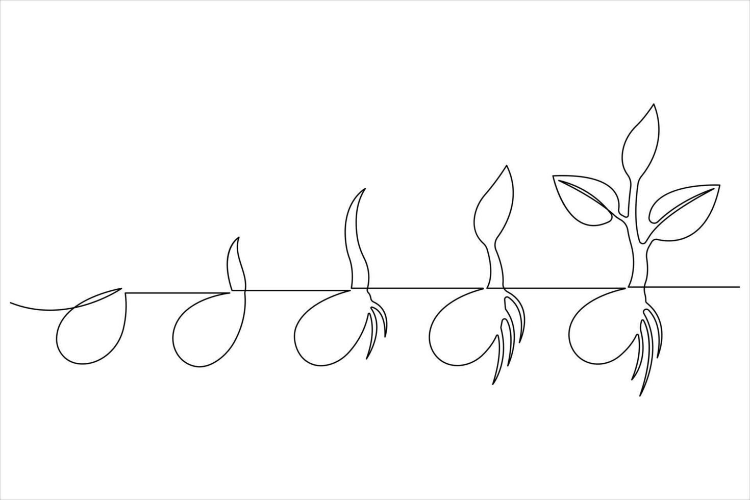 One continuous line drawing Plant growth process vector