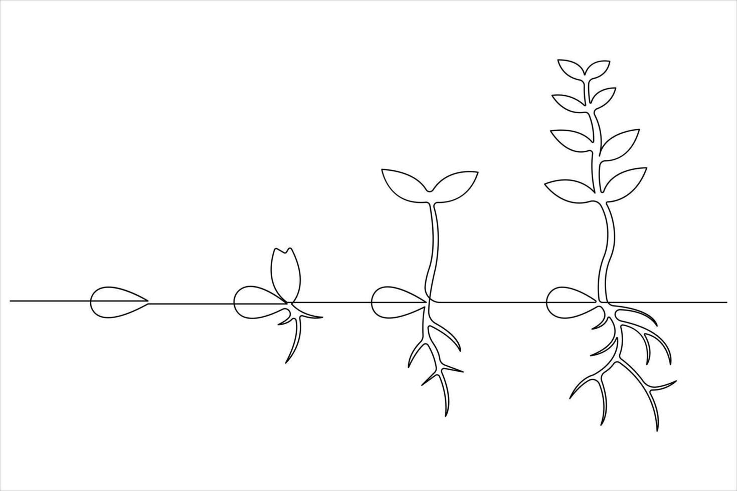 One continuous line drawing Plant growth process vector