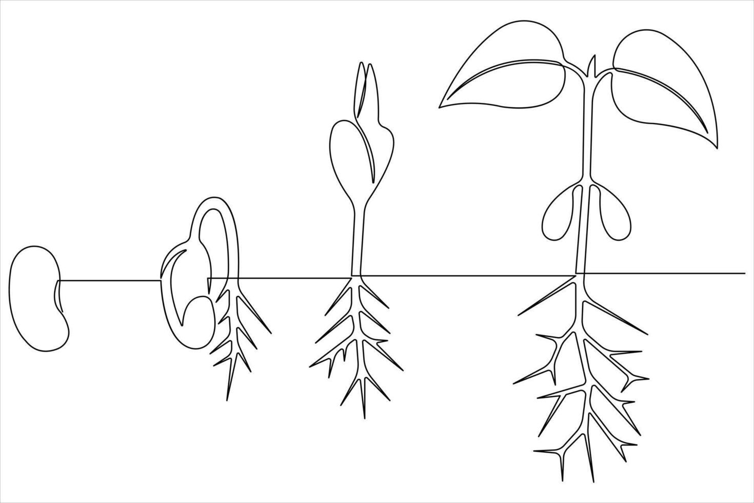 One continuous line drawing Plant growth process vector