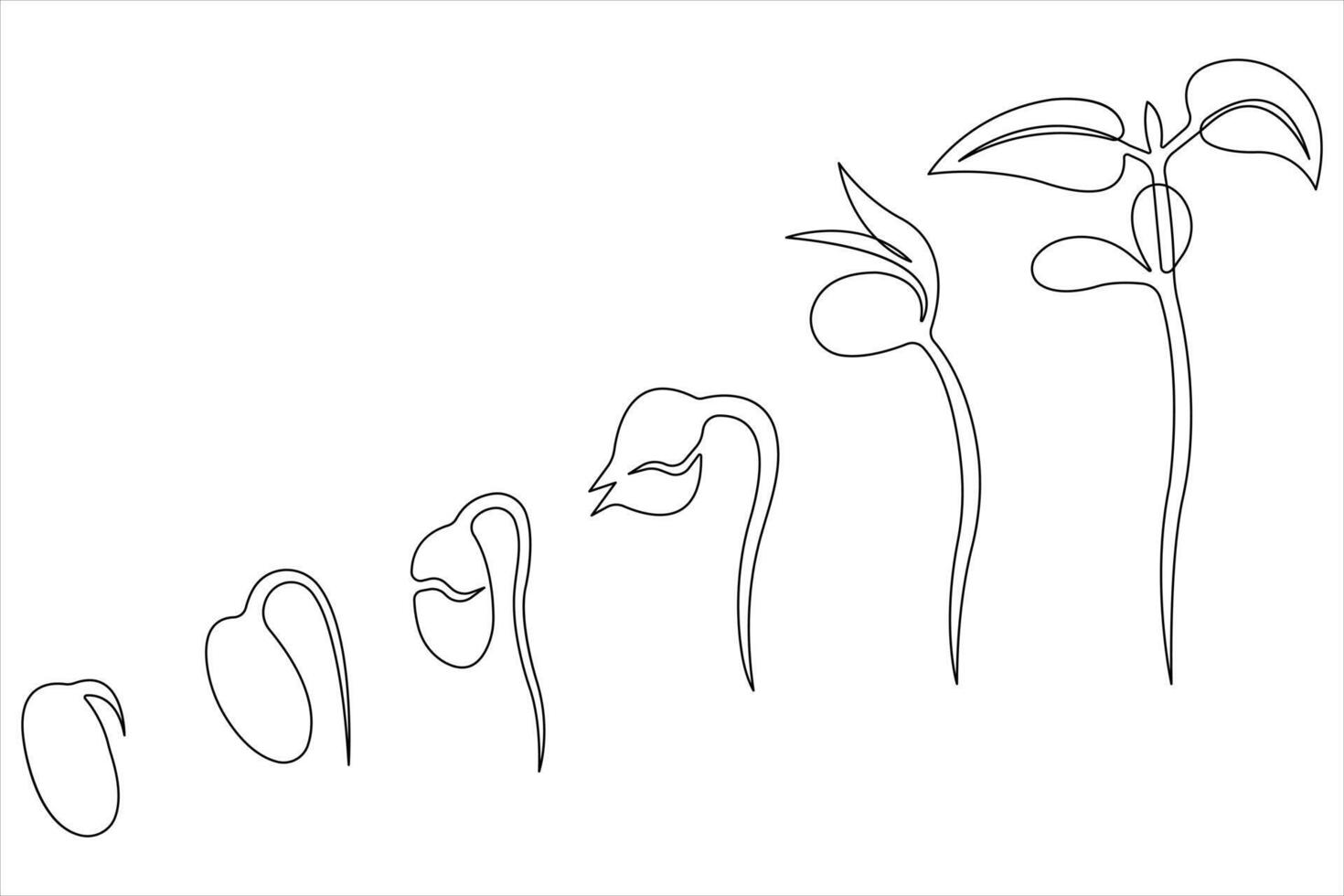 One continuous line drawing Plant growth process vector